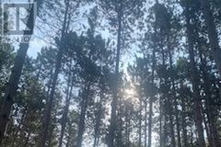 29480320/164-baillie-avenue/constance-bay/ottawa/ontario/K0A3M0_33