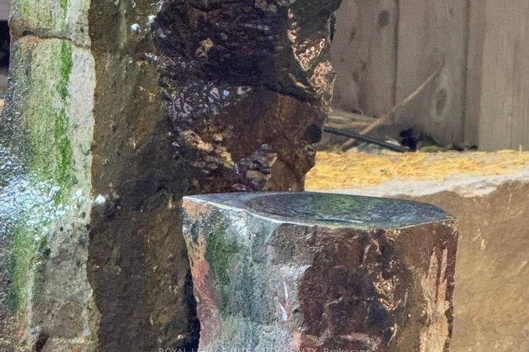 29590354/279-currell-avenue/westborohampton-park/ottawa/ontario/K1Z7J5_25