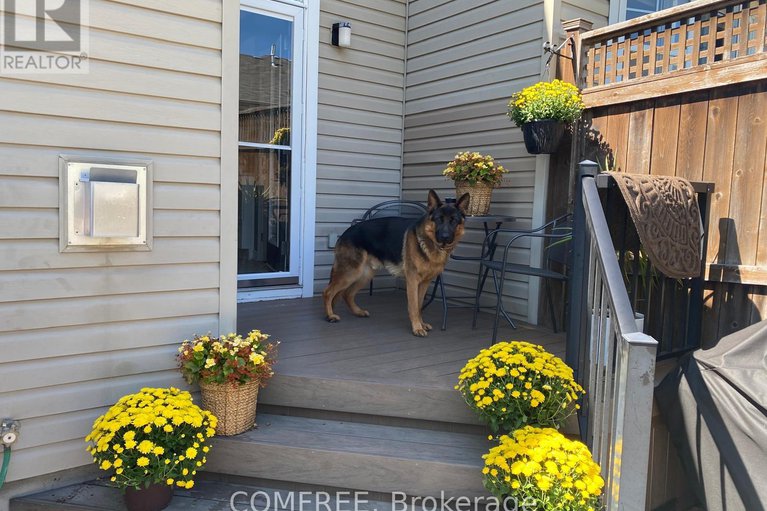 29023926/29d-cresthaven-drive/barrhaven-east/ottawa/ontario/K2G6T8_25