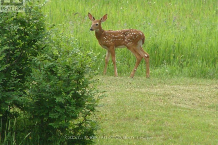 28814220/1556-drummond-conc-10a/drummond-n-elmsley-drummond-twp/drummondnorth-elmsley/ontario/K0G1K0_42