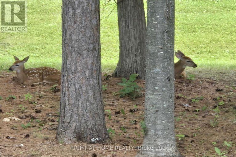 29612929/3616-forestview-lane/dunrobin-shores/ottawa/ontario/K0A1T0_49