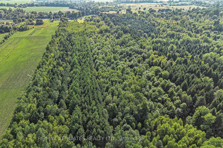 28625168/3971-champlain-street/clarencerockland-twp/clarence-rockland/ontario/K0A1E0_24