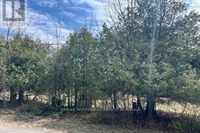 29688482/lot-138-bourne-road/beckwith-twp/beckwith/ontario/K7A4S7_6