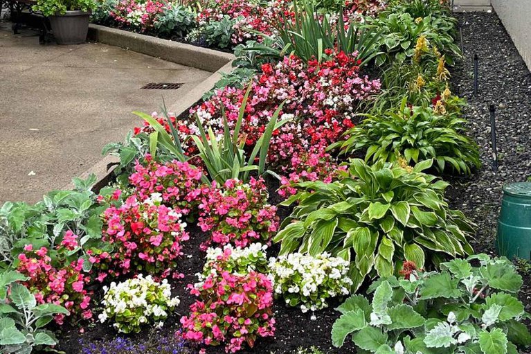 29361379/ph4-158a-mcarthur-avenue/vanier/ottawa/ontario/K1L7E7_39