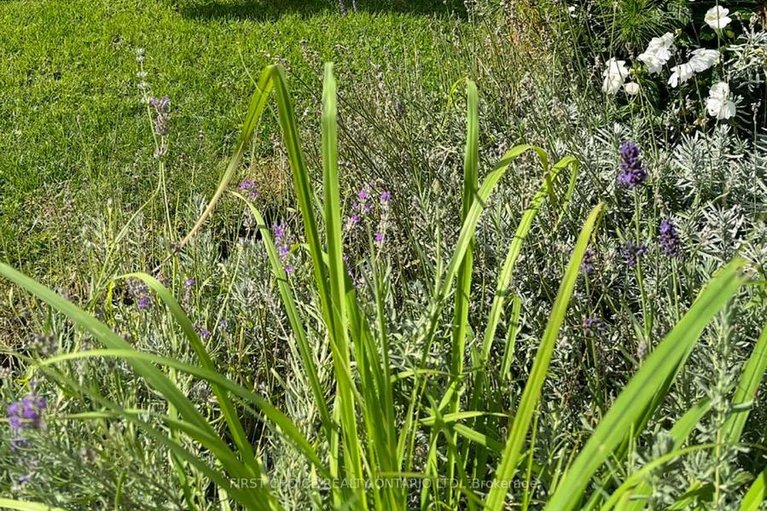 29497255/358-gerry-lalonde-drive/avalon-west/ottawa/ontario/K4A0Y3_32