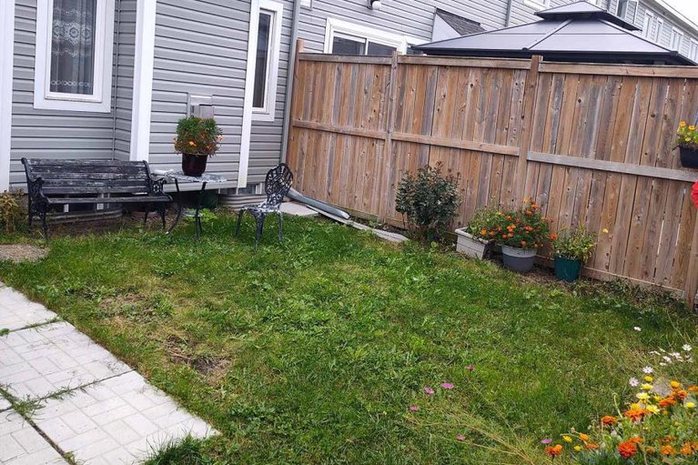 28387384/202-conifer-creek-circle/emerald-meadowstrailwest/ottawa/ontario/K2M0M2_2