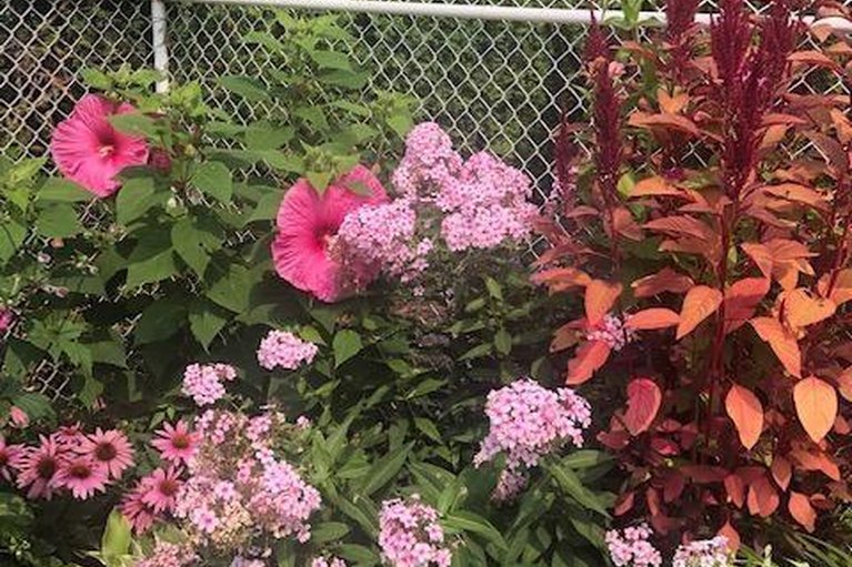 29630266/641-wilkie-drive/fallingbrookpineridge/ottawa/ontario/K4A1R8_23