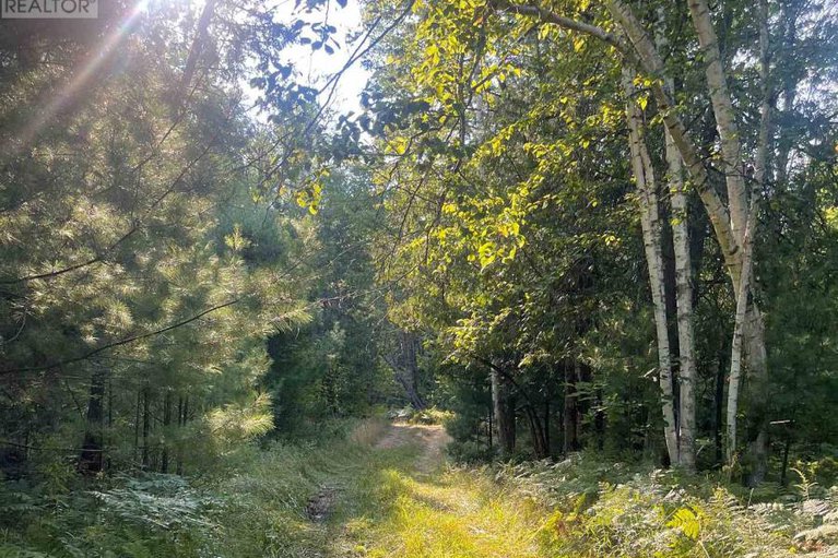 28763125/756-bellamy-mills-road/mississippi-mills-ramsay-twp/mississippi-mills/ontario/K0A1A0_38