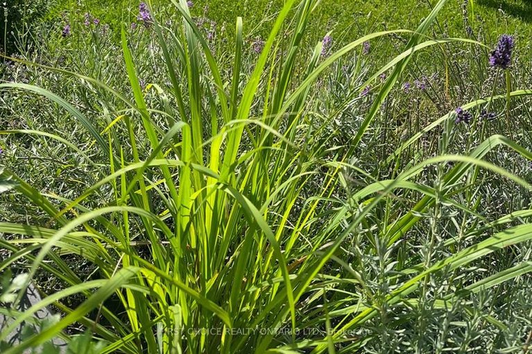 29497255/358-gerry-lalonde-drive/avalon-west/ottawa/ontario/K4A0Y3_31