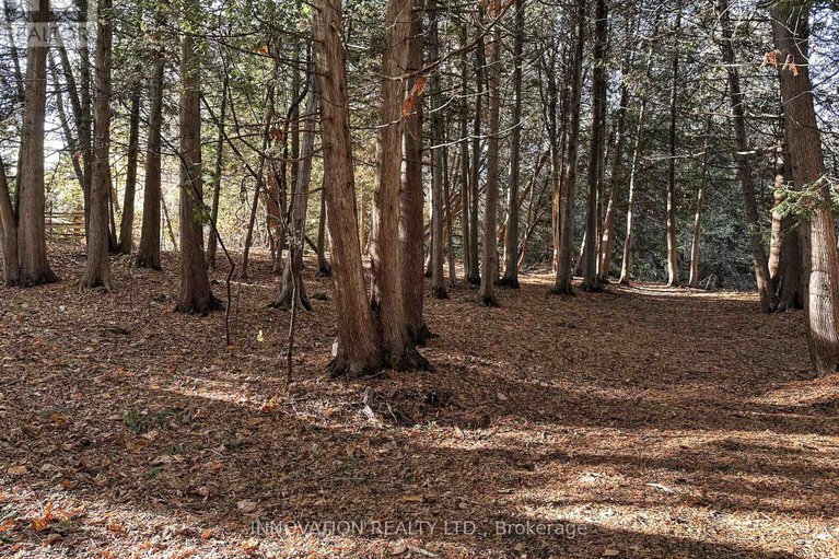 29416525/30-randall-james-drive/stittsville-central/ottawa/ontario/K2S1M4_22