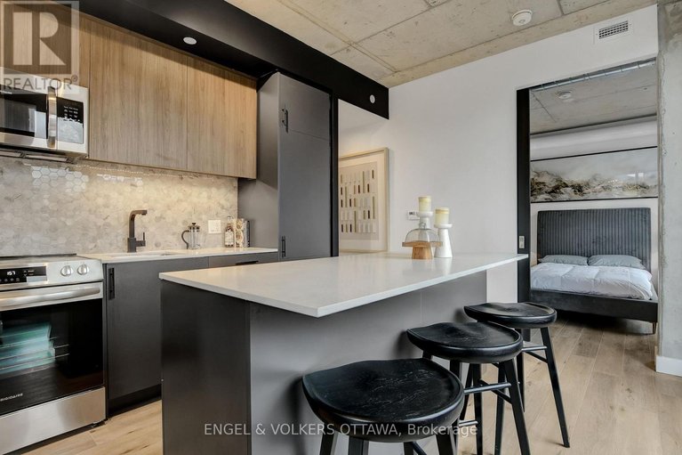 29438660/405-10-james-street/ottawa-centre/ottawa/ontario/K2P1T2_12