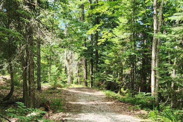 28670947/pt-l-27-bow-lake-lane/lanark-highlands-lanark-twp/lanark-highlands/ontario/K0G1K0_13