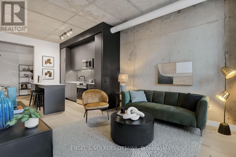 29437309/217-10-james-street/ottawa-centre/ottawa/ontario/K2P1T2_20