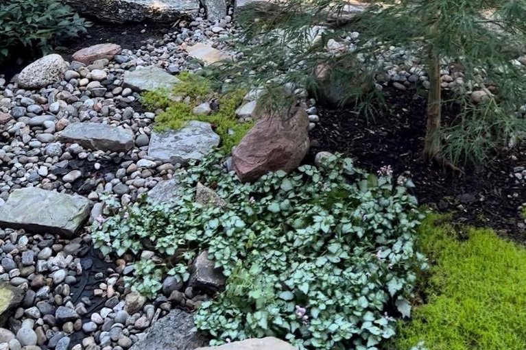 29590354/279-currell-avenue/westborohampton-park/ottawa/ontario/K1Z7J5_28