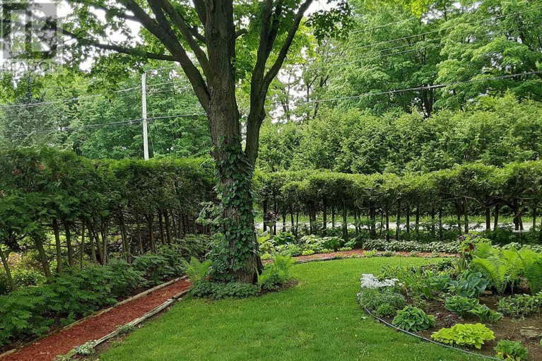 29160028/248-borden-road/mississippi-mills-ramsay-twp/mississippi-mills/ontario/K7C3P1_43