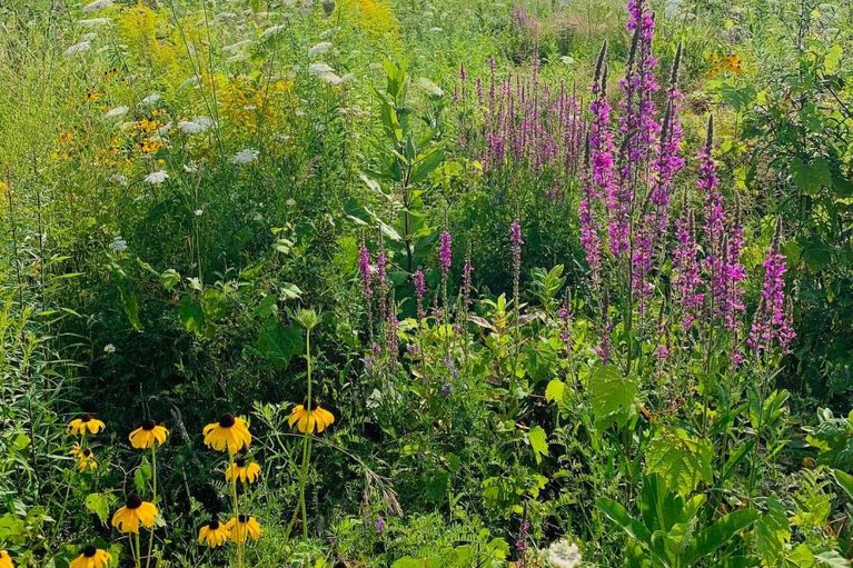 29627471/6372-rothbourne-road/huntley-ward-south-east/ottawa/ontario/K0A1L0_47