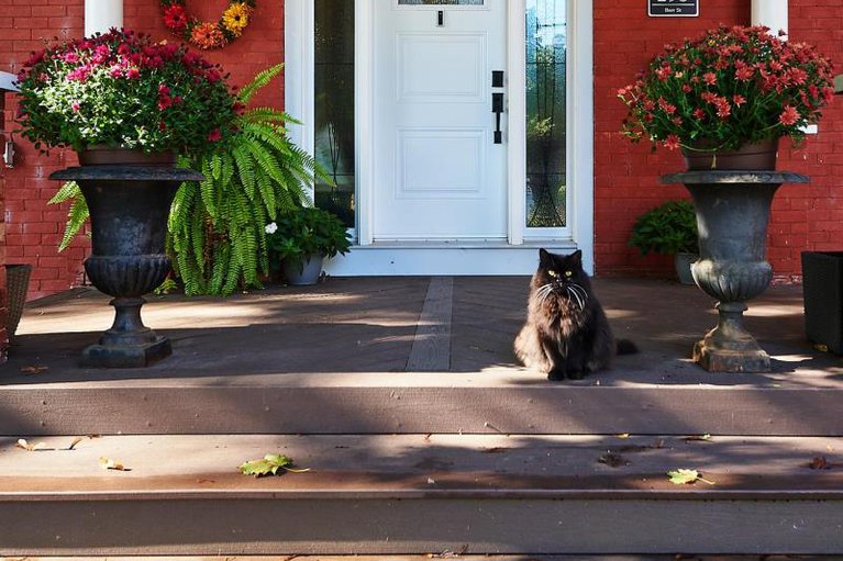 29254147/298-barr-street/renfrew/renfrew/ontario/K7V1J8_41