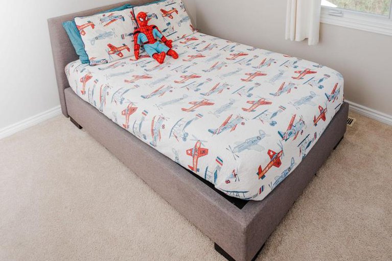 28979625/1055-plante-drive/hunt-clubwestern-community/ottawa/ontario/K1V9E5_23