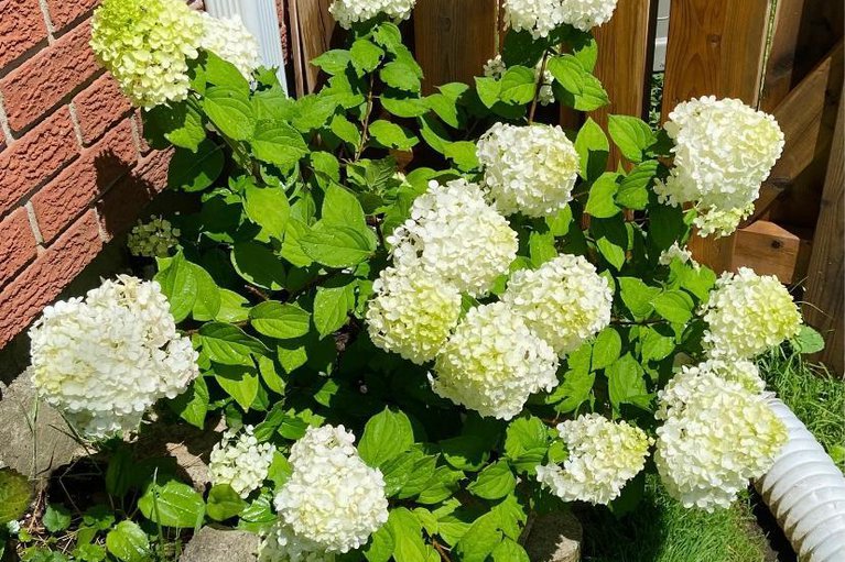 29092517/95-1474-heatherington-road/heron-gateindustrial-park/ottawa/ontario/K1V6S1_3