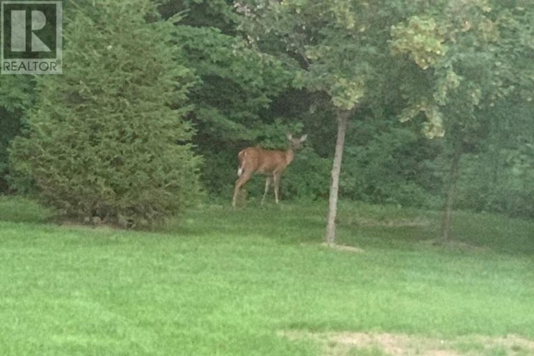 29555218/26-jacquot-street-n/champlain-twp/champlain/ontario/K0B1K0_45