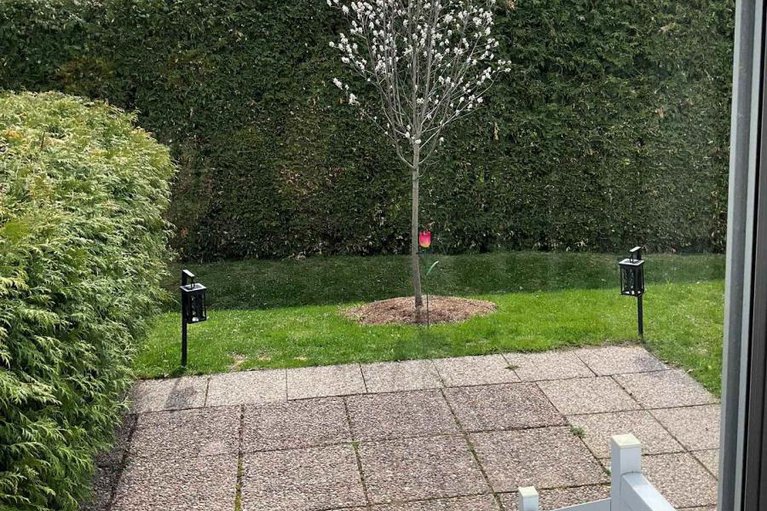 29366055/20-river-oaks-court/stittsville-central/ottawa/ontario/K2S1L3_49