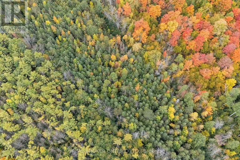 28946016/2099-county-20-road/north-grenville-twp-kemptville-south/north-grenville/ontario/K0G1T0_43