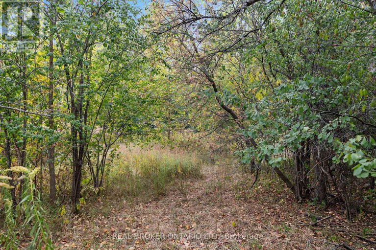 29202804/2099-county-20-road/north-grenville-twp-kemptville-south/north-grenville/ontario/K0G1T0_33