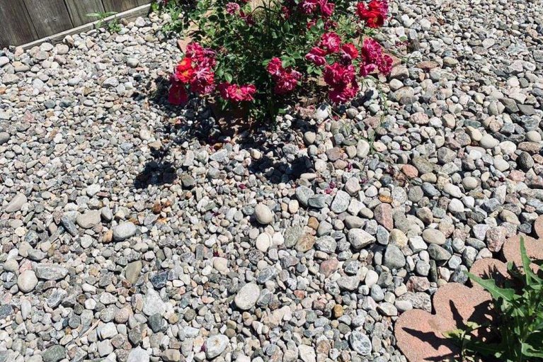 29270860/119-finn-court/ridgemont/ottawa/ontario/K1V2C6_44