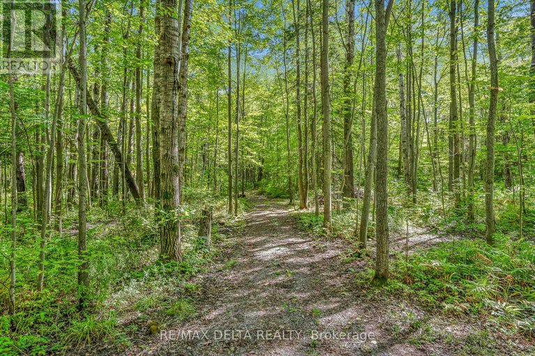 28863479/740-vinette-road/clarencerockland-twp/clarence-rockland/ontario/K0A1N0_27