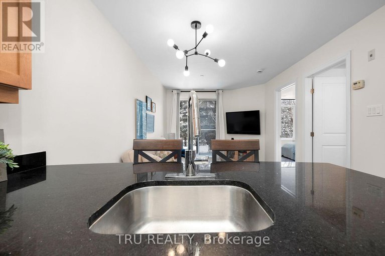 29302408/104-314-central-park-drive/central-park/ottawa/ontario/K2C0R2_14