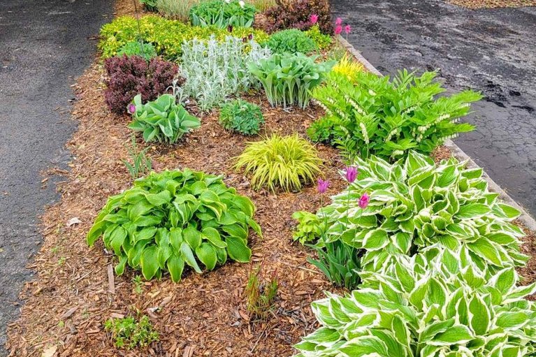 29615079/2034-p-avenue/eastway-gardensindustrial-park/ottawa/ontario/K1G6G7_39