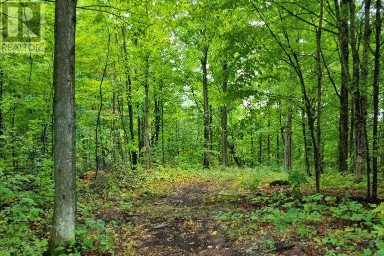 29381988/21950-concession-10-road/south-glengarry-lancaster-twp/south-glengarry/ontario/K0B1H0_45