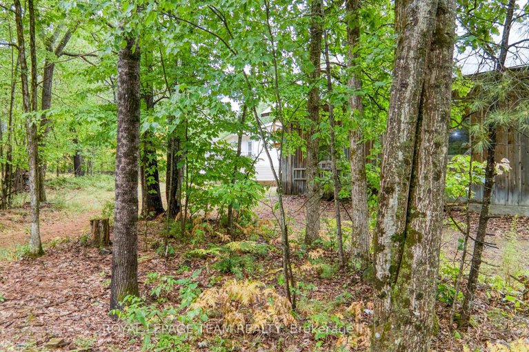 28753812/200-smith-lane/pakenham/mississippi-mills/ontario/K0A2X0_40