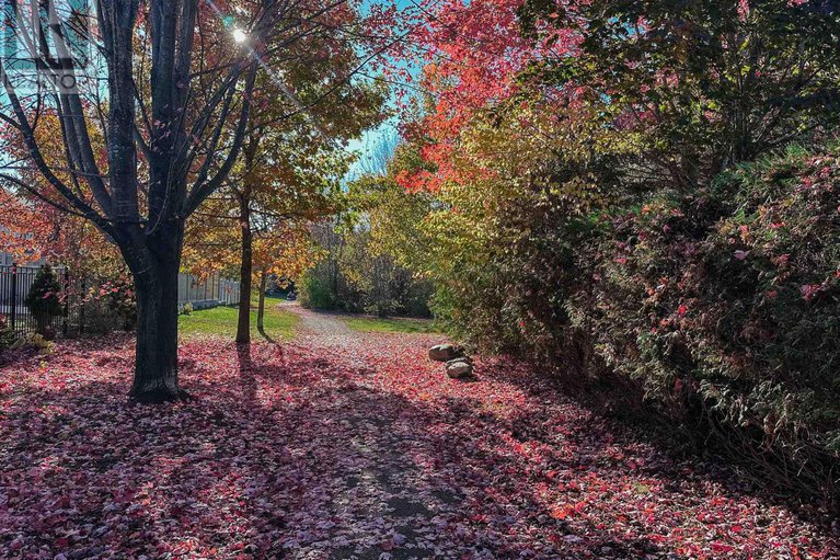 29416525/30-randall-james-drive/stittsville-central/ottawa/ontario/K2S1M4_18