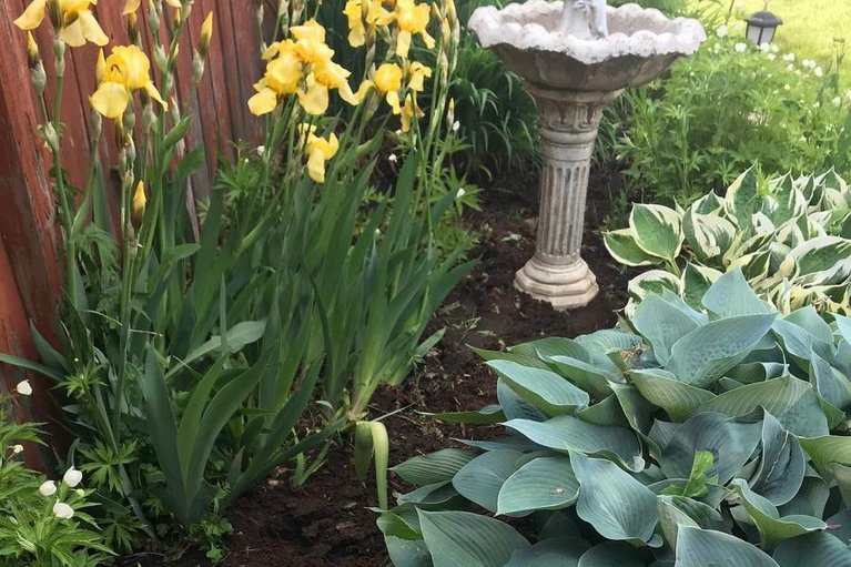 29497255/358-gerry-lalonde-drive/avalon-west/ottawa/ontario/K4A0Y3_34