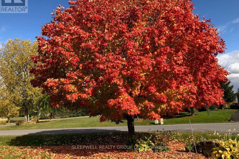 29058156/1040-misty-morning-lane/greely/ottawa/ontario/K4P1P8_29