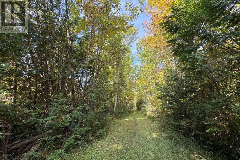 28895364/1482-ferguson-falls-road/drummond-n-elmsley-drummond-twp/drummondnorth-elmsley/ontario/K0G1K0_30