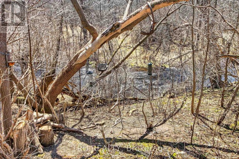 29625334/113-398-van-buren-street/kemptville/north-grenville/ontario/K0G1J0_25