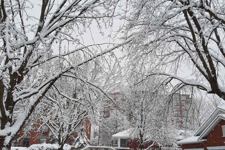 29256268/17-38-kettering/hunt-clubwestern-community/ottawa/ontario/K1V0X8_39