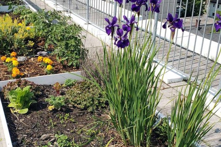 29606722/402-1000-wellington-st-street-w/hintonburg/ottawa/ontario/K1Y2X9_41