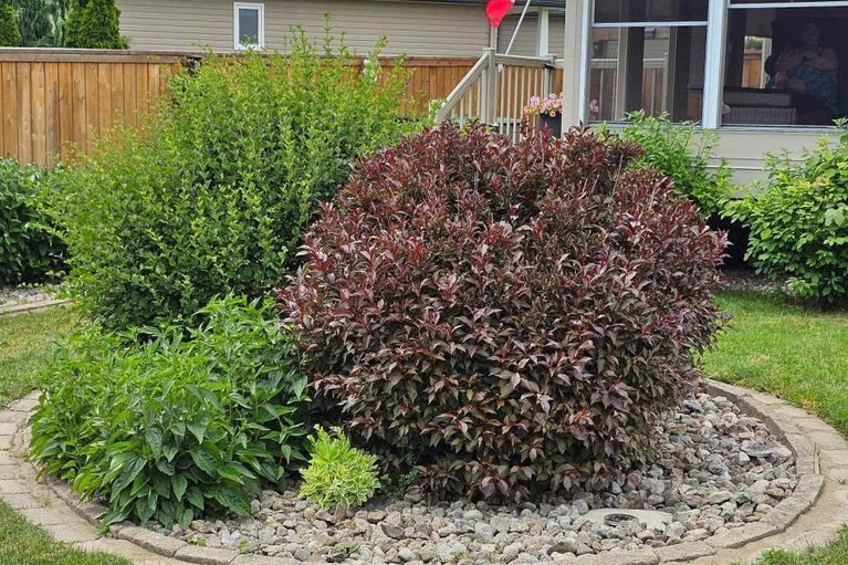 29493272/182-elk-street/renfrew/renfrew/ontario/K7V1A0_28