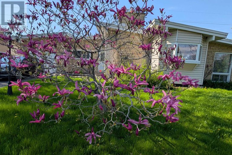 29138832/9-quinpool-crescent/arbeatha-park/ottawa/ontario/K2H6H9_45