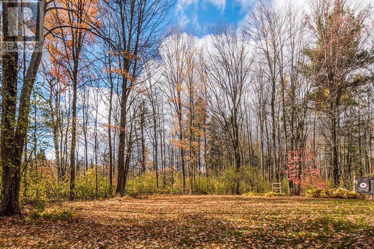 29038315/1423-diamondview-road/huntley-ward-south-east/ottawa/ontario/K0A1L0_31