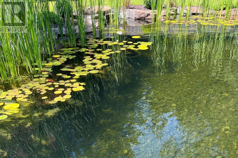 29089577/155-stonewood-drive/beckwith-twp/beckwith/ontario/K7C3P2_36