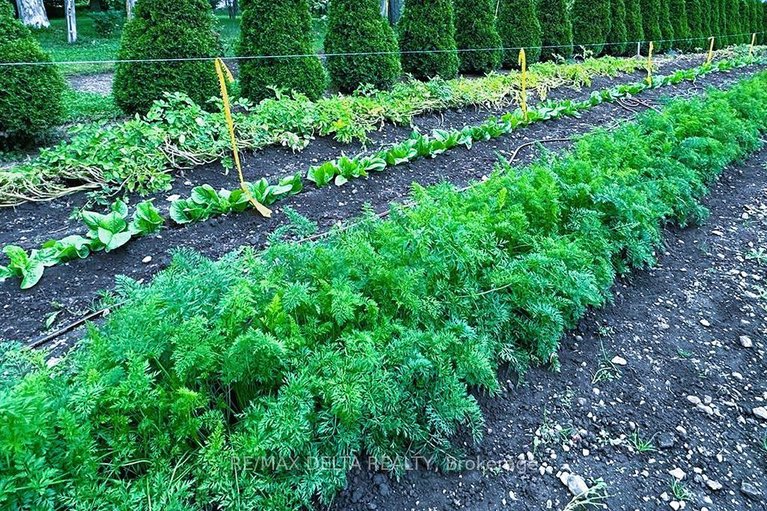 29608680/2685-concession-7-road/east-hawkesbury/ontario/K0B1P0_29