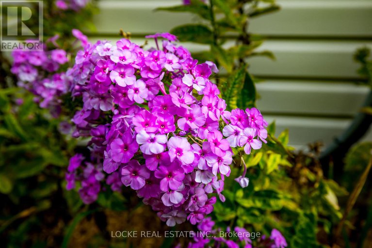 28872306/106-parkrose-private/chatelaine-village/ottawa/ontario/K4A0N8_38