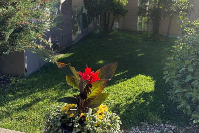 29255402/117-woodhurst-crescent/stittsville-south/ottawa/ontario/K2S0T4_49