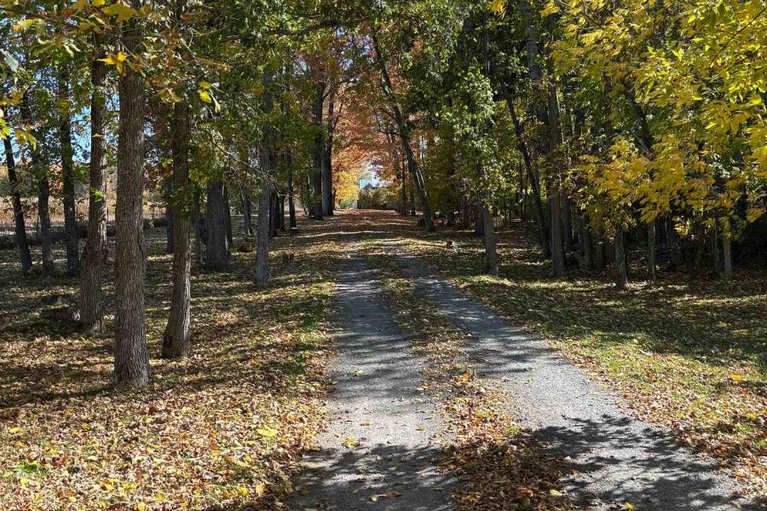 29068610/507-drummond-road/mississippi-mills-ramsay-twp/mississippi-mills/ontario/K7C3P1_44