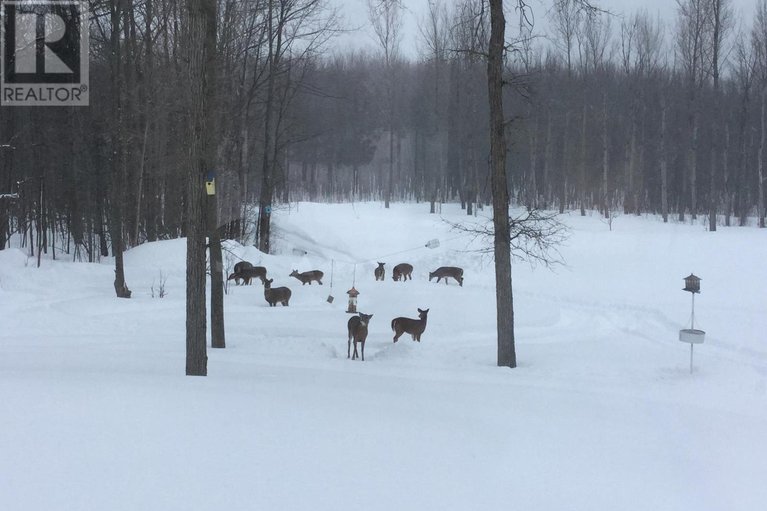 28793859/18668-concession-2-road/north-glengarry-kenyon-twp/north-glengarry/ontario/K0C1B0_49