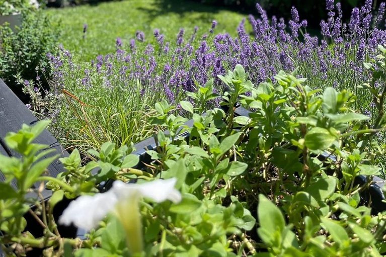 29497255/358-gerry-lalonde-drive/avalon-west/ottawa/ontario/K4A0Y3_30